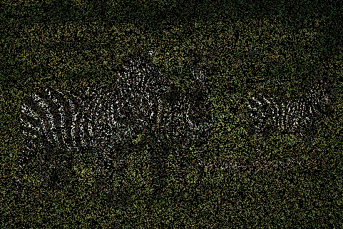 Example 5